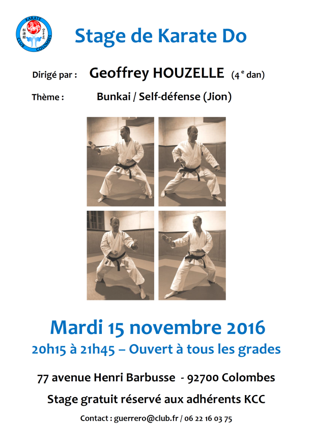 stage-de-karate-geoffrey-houzelle-2016-11-15