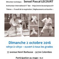 stage-de-karate-pascal-lecourt-2016-10-02