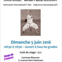 STAGE DE KARATE Pascal Lecourt 2016 06 05