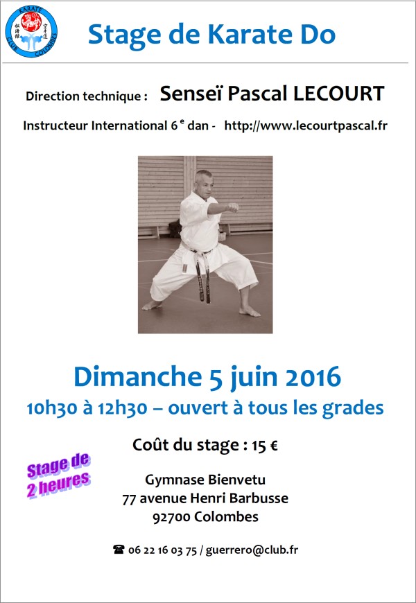 STAGE DE KARATE Pascal Lecourt 2016 06 05