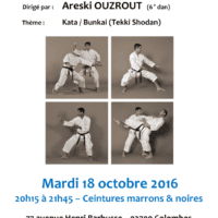 stage-de-karate-areski-ouzrout-2016-10-18