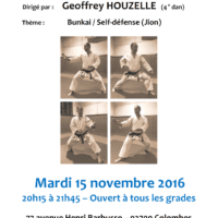 stage-de-karate-geoffrey-houzelle-2016-11-15