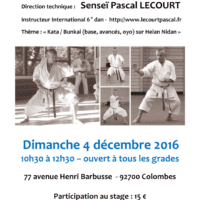 stage-de-karate-pascal-lecourt-2016-12-04