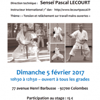 STAGE DE KARATE Pascal Lecourt 2017 02 05