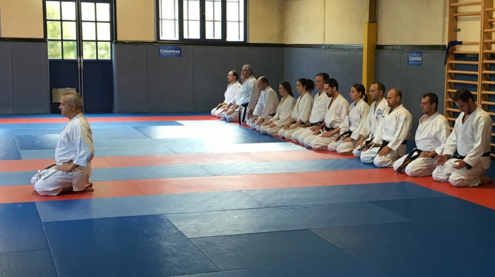 Sensei Pascal Lecourt - Stage à Colombes (2016)