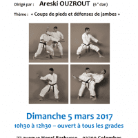 STAGE DE KARATE Areski Ouzrout 2017 03 05