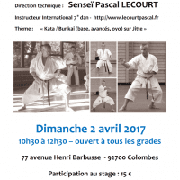 STAGE DE KARATE Pascal Lecourt 2017 04 02