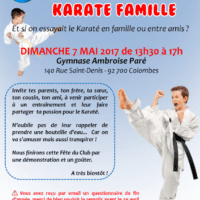 Karate Famille Affiche 2017 05 07