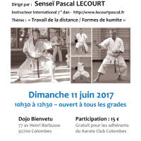 STAGE DE KARATE Pascal Lecourt 2017 06 11