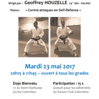 STAGE DE SELF DEFENSE Geoffrey Houzelle 2017 05 23