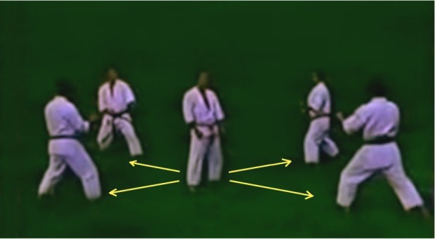 Démonstration du bunkai d'un kata