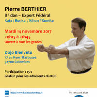 STAGE DE KARATE Pierre Berthier 2017 11 14