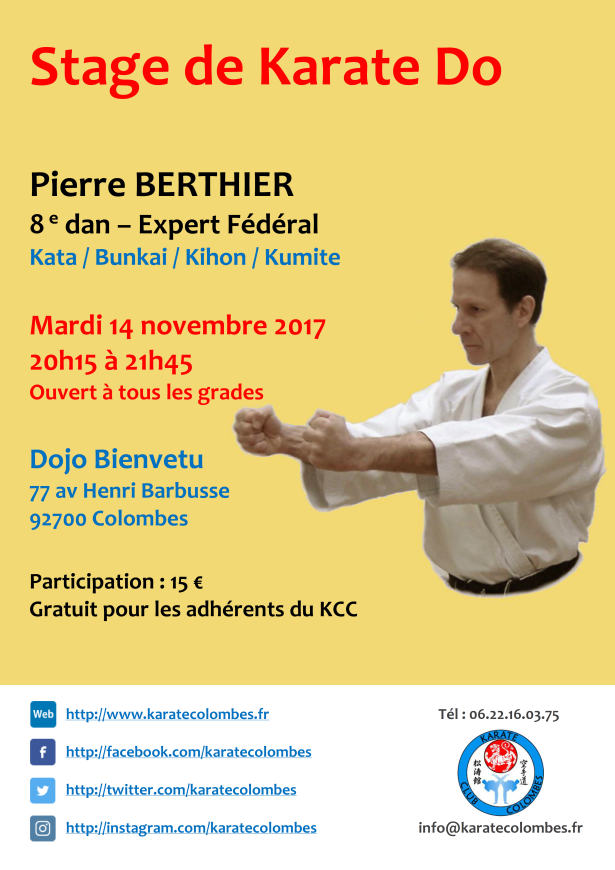 STAGE DE KARATE Pierre Berthier 2017 11 14