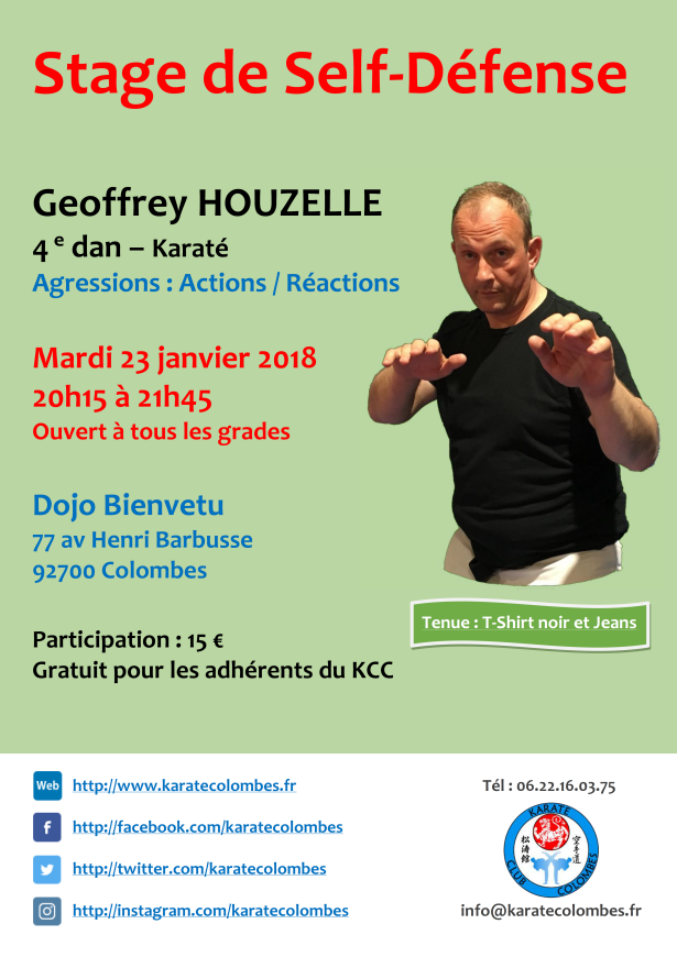 STAGE DE SELF DEFENSE Geoffrey Houzelle 2018 01 23