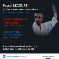STAGE DE KARATE Pascal Lecourt 2018 04 08