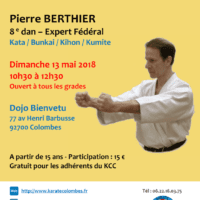 STAGE DE KARATE Pierre Berthier 2018 05 13