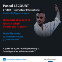 STAGE DE KARATE Pascal Lecourt 2018 06 10