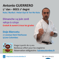 KEIKO SERIES #10 Antonio Guerrero 2018 06 24