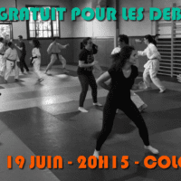 cours débutant karate juin 2018