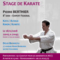 Stage Karate Pierre Berthier 2018 12 18