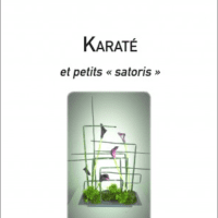 Jacques Tapol - Karaté et petits satoris