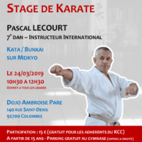 Stage Karate Pascal Lecourt 2019 03 24