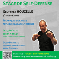 Stage Self-Defense Geoffrey Houzelle 2020 01 07