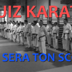Quiz Karaté - Quel sera ton score ?