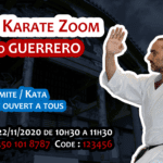 Stage Karate #Zoom 2020 11 22
