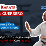 Stage karaté sur Zoom le 06-12-2020