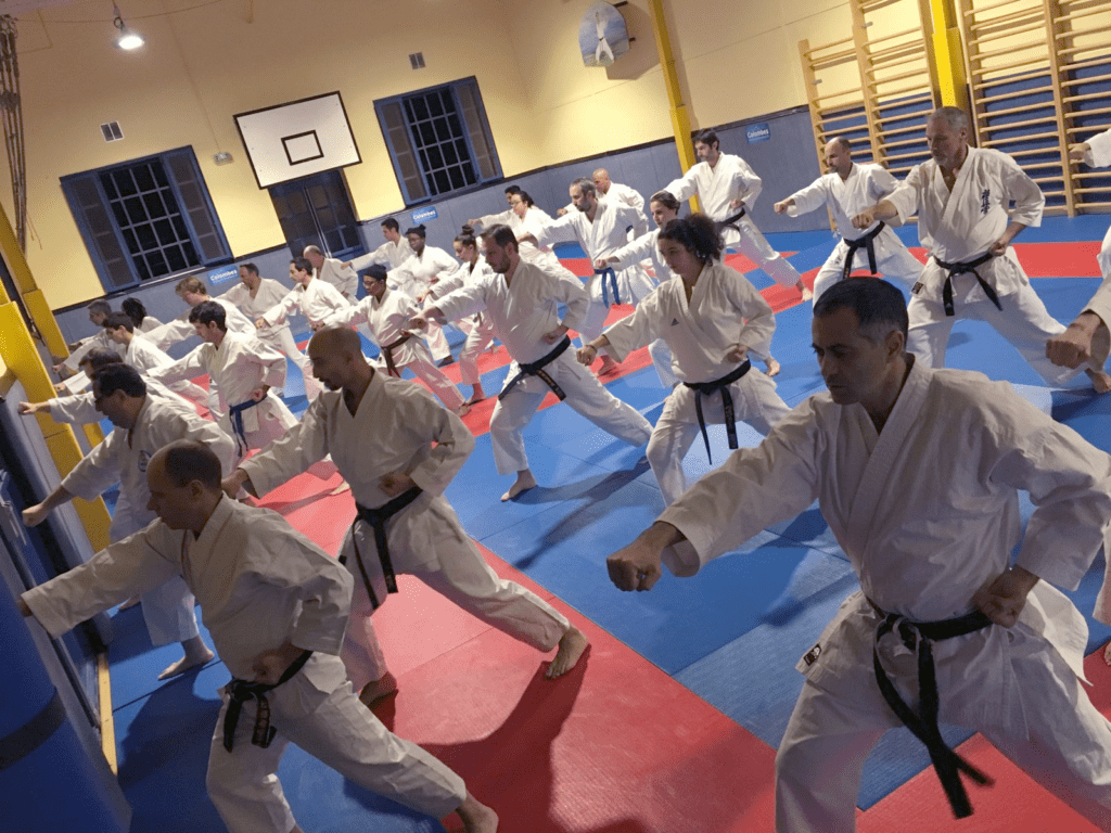 100 kata Challenge