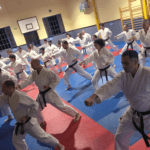 Déroulement du 100 Kata Challenge online 2020