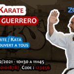 Stage Karate #Zoom 2021 02 27