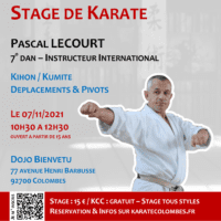 Stage Karate Pascal Lecourt 2021 11 07