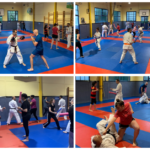 cours karate adulte debutant 2023