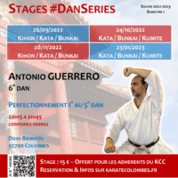 Programme Stages #DanSeries Saison 2022-2023 Semestre 1