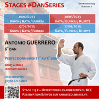 Programme Stages #DanSeries Saison 2022-2023 Semestre 2