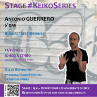 Stage Karate #KeikoSeries 2023-11-12