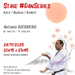 Stage Karate #DanSeries 2025-11-24 Carré