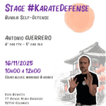 Stage Karate #KarateDefense 2025-11-16 Carré
