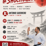 Stage d'été karaté #ShochuGeiko août 2026 Stage Karate #ShochuGeiko 27-28-29 août 2026