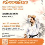 Stage d'été karaté #ShochuGeiko août 2026 stage d'été karate #ShochuGeiko 27 au 29 août 2026_wp_1200x1697